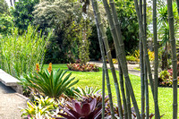 Lankaster Botanic Gardens