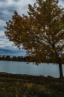 Sloan's Lake