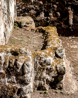 Ancient Water Trough